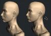 Head shape.jpg