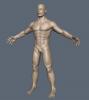 WIP_Update1.jpg