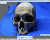 photSculpt3pic.JPG