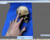 photSculpthandtextured.JPG