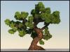 3Dtree_test06b.jpg