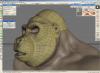 gorilla_retopo02.jpg