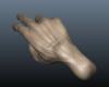 hand_001E.jpg