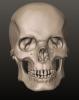 Voxel_Skull_Front.jpg
