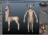 zentaur07a.jpg