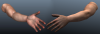 Rg.png