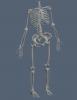 headless.JPG