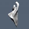 scapula 8.JPG