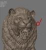 lion_statistics.jpg