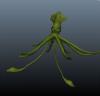 Squid2.jpg