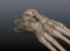 footsculpt2.JPG