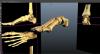 foot.JPG