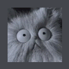 Teapot - last post by Creator